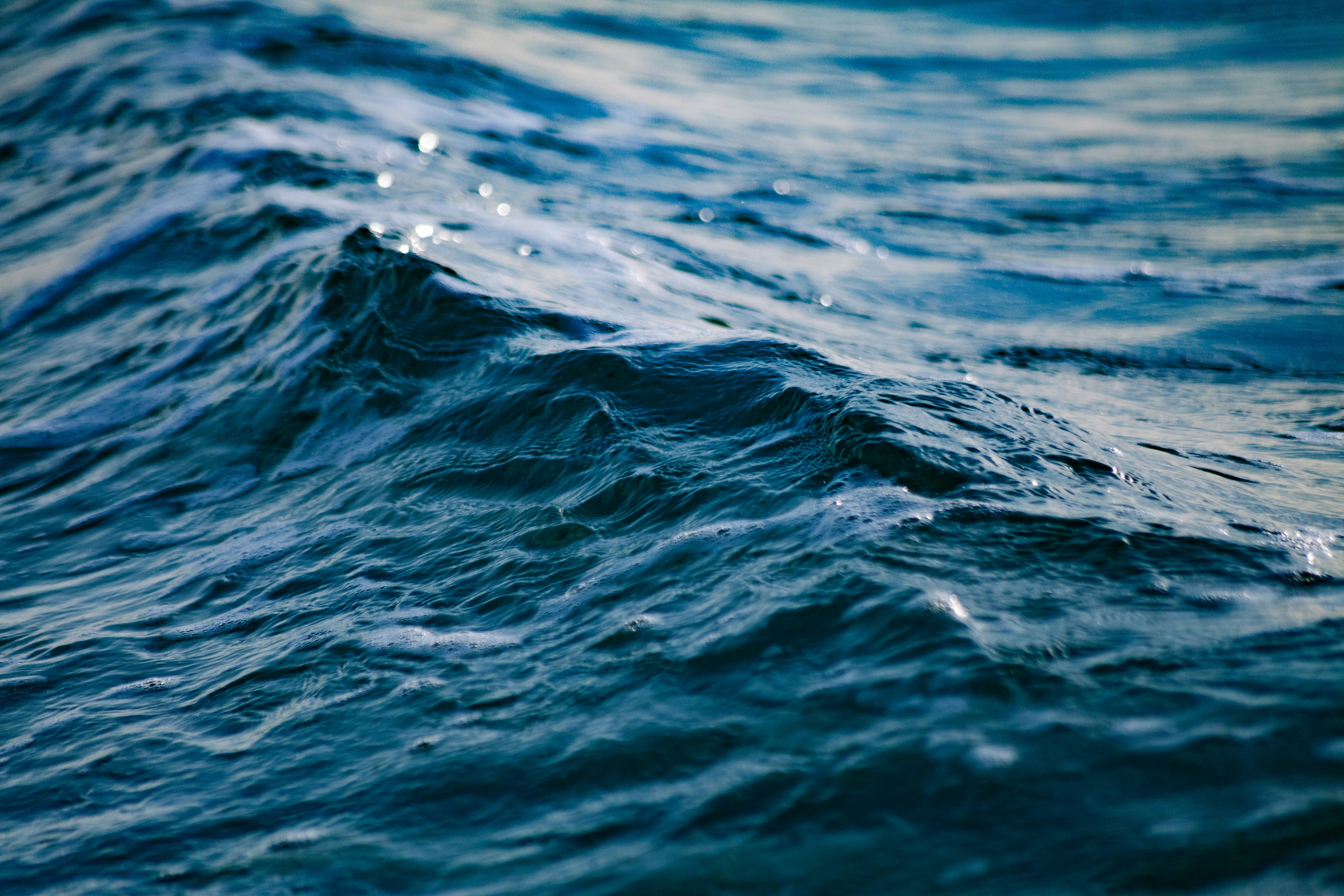 海